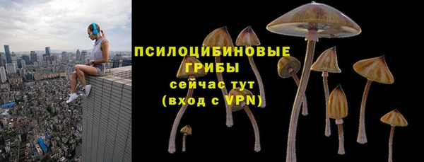 ешки Вязники