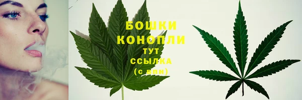 ALPHA PVP Вяземский
